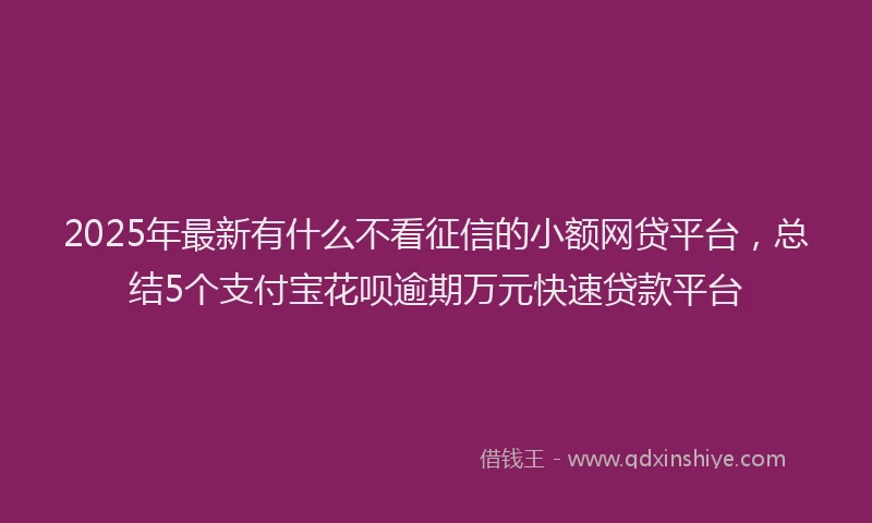 2025年最新有什么不看征信的小额网贷平台，总结5个支付宝花呗逾期万元快速贷款平台