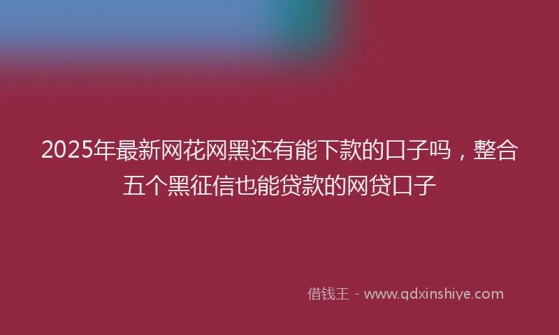 2025年最新网花网黑还有能下款的口子吗，整合五个黑征信也能贷款的网贷口子