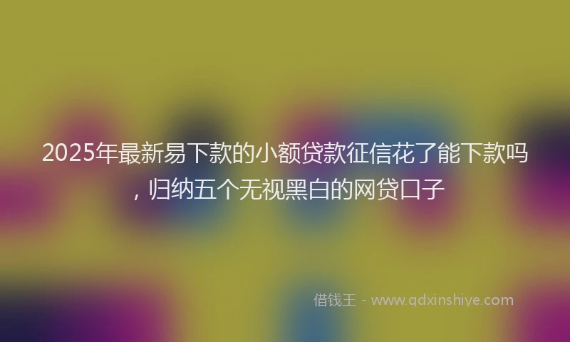 2025年最新易下款的小额贷款征信花了能下款吗，归纳五个无视黑白的网贷口子