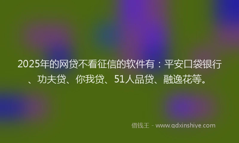 2025年的网贷不看征信的软件有：平安口袋银行、功夫贷、你我贷、51人品贷、融逸花等。