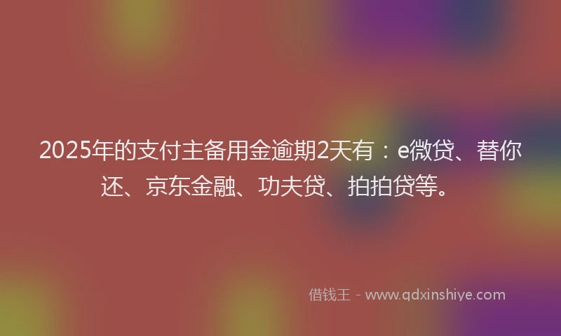 2025年的支付主备用金逾期2天有：e微贷、替你还、京东金融、功夫贷、拍拍贷等。