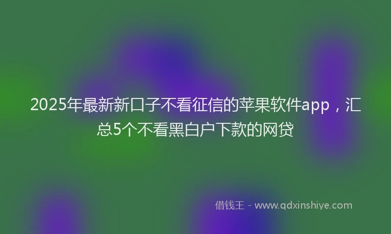 2025年最新新口子不看征信的苹果软件app，汇总5个不看黑白户下款的网贷