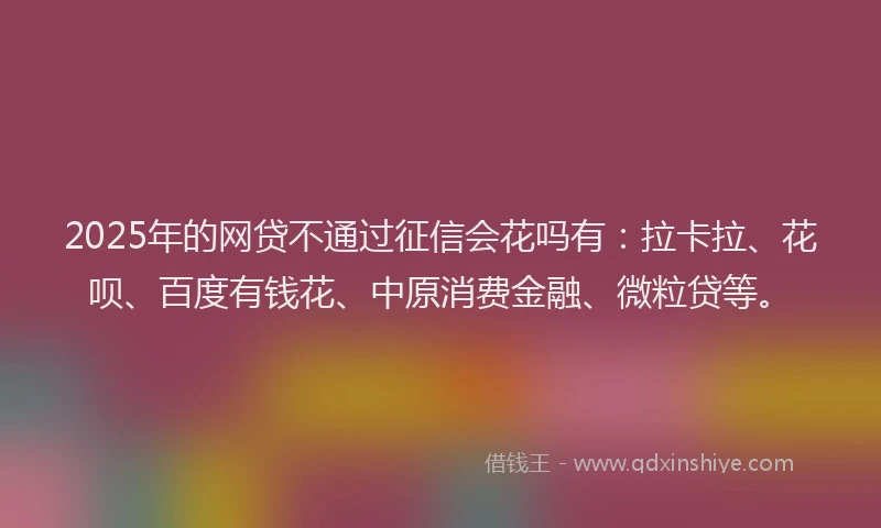 2025年的网贷不通过征信会花吗有：拉卡拉、花呗、百度有钱花、中原消费金融、微粒贷等。