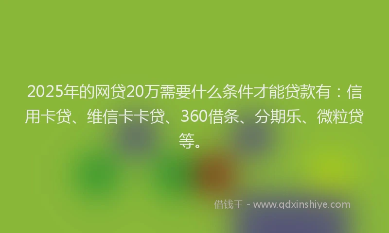 2025年的网贷20万需要什么条件才能贷款有：信用卡贷、维信卡卡贷、360借条、分期乐、微粒贷等。