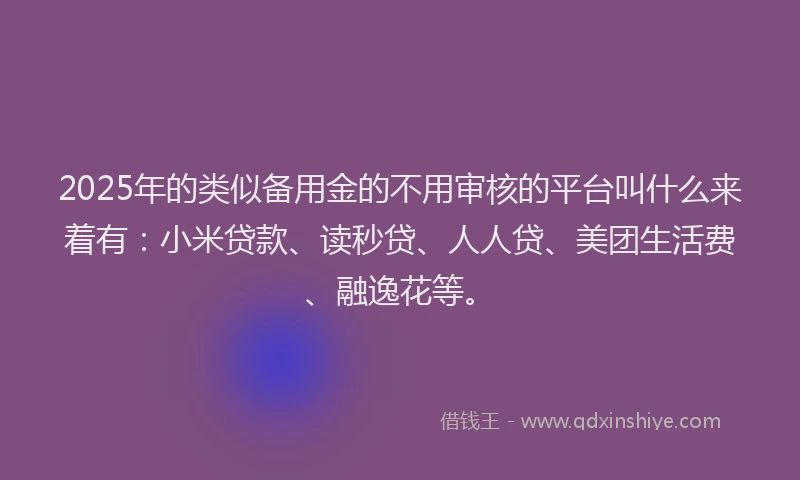 2025年的类似备用金的不用审核的平台叫什么来着有：小米贷款、读秒贷、人人贷、美团生活费、融逸花等。