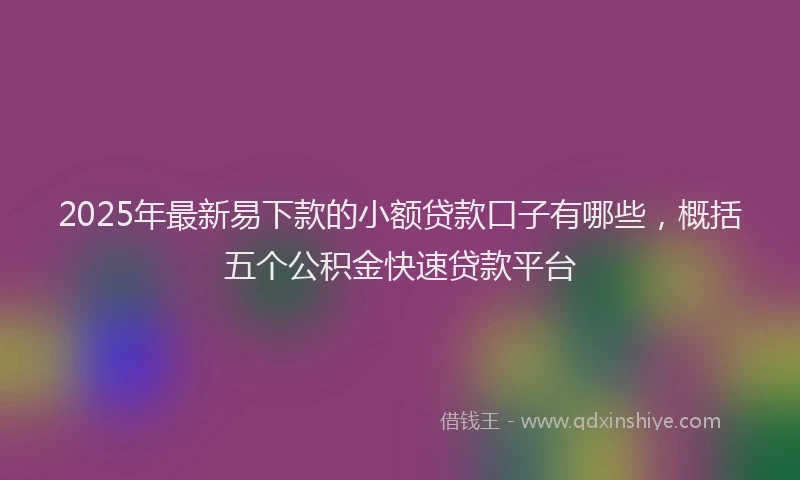 2025年最新易下款的小额贷款口子有哪些，概括五个公积金快速贷款平台
