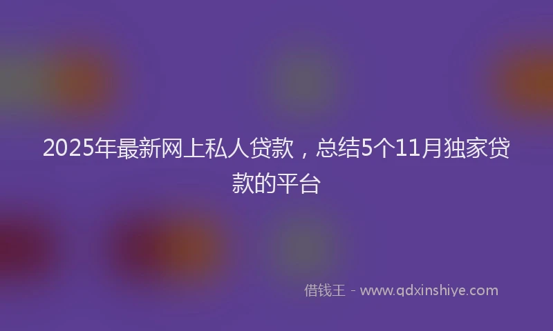 2025年最新网上私人贷款，总结5个11月独家贷款的平台