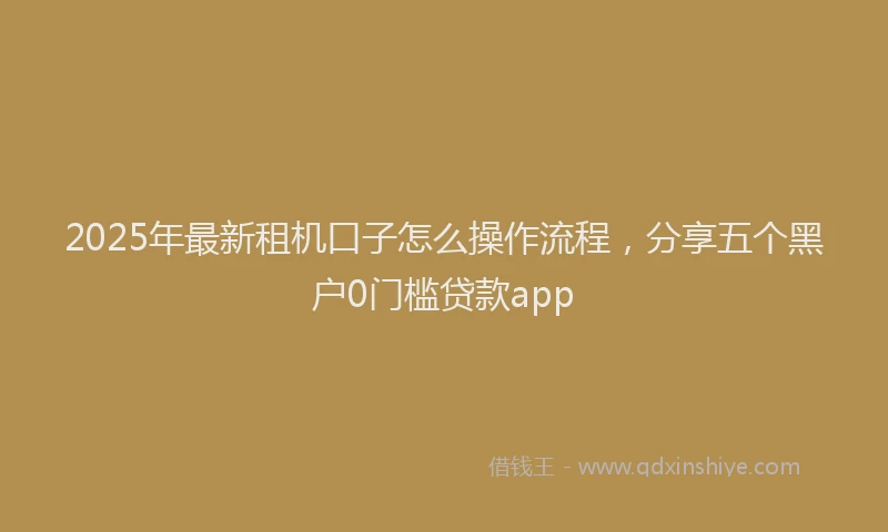 2025年最新租机口子怎么操作流程，分享五个黑户0门槛贷款app
