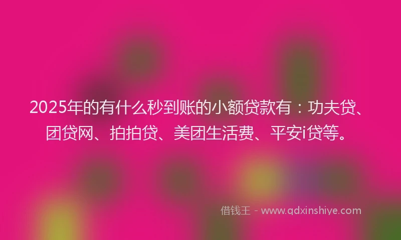 2025年的有什么秒到账的小额贷款有：功夫贷、团贷网、拍拍贷、美团生活费、平安i贷等。