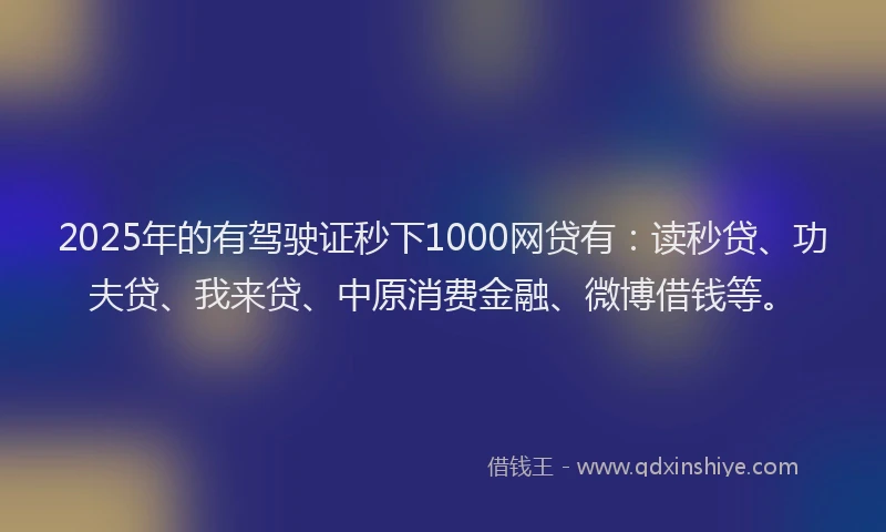 2025年的有驾驶证秒下1000网贷有：读秒贷、功夫贷、我来贷、中原消费金融、微博借钱等。