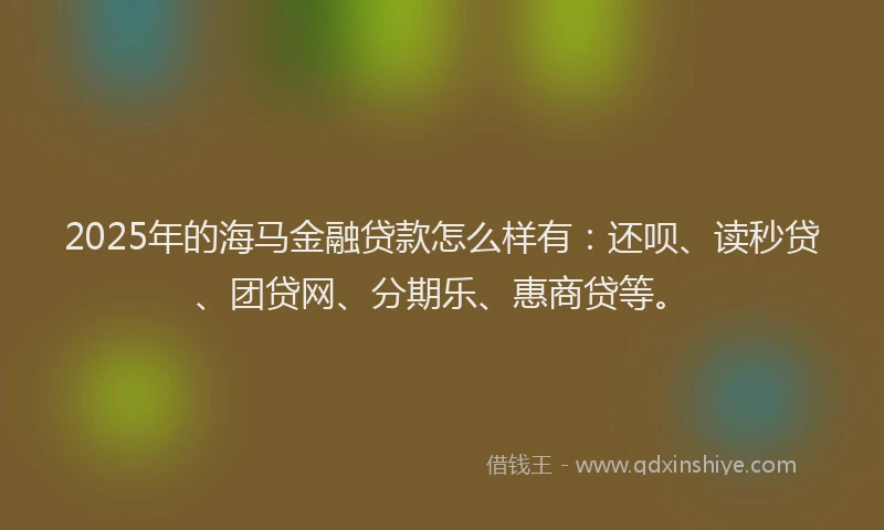 2025年的海马金融贷款怎么样有：还呗、读秒贷、团贷网、分期乐、惠商贷等。