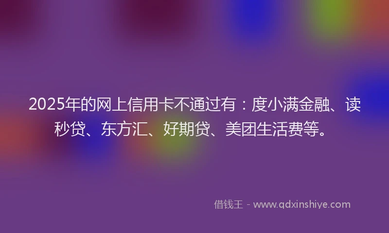2025年的网上信用卡不通过有：度小满金融、读秒贷、东方汇、好期贷、美团生活费等。