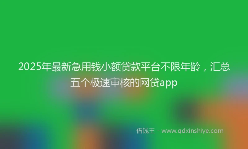 2025年最新急用钱小额贷款平台不限年龄，汇总五个极速审核的网贷app