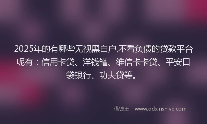 2025年的有哪些无视黑白户,不看负债的贷款平台呢有：信用卡贷、洋钱罐、维信卡卡贷、平安口袋银行、功夫贷等。