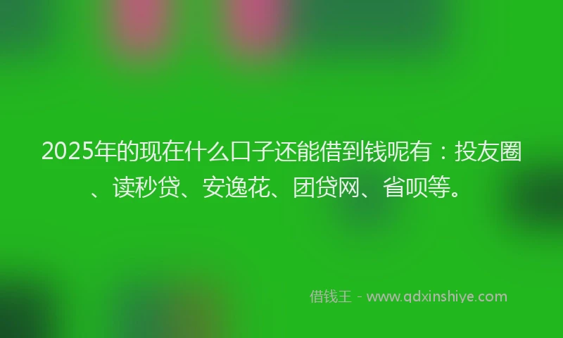 2025年的现在什么口子还能借到钱呢有：投友圈、读秒贷、安逸花、团贷网、省呗等。