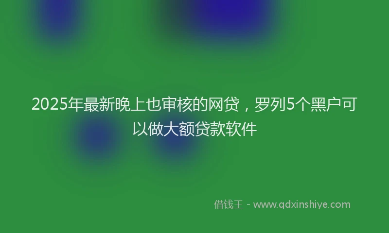 2025年最新晚上也审核的网贷，罗列5个黑户可以做大额贷款软件