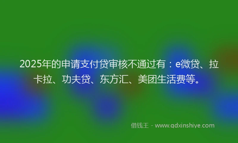 2025年的申请支付贷审核不通过有：e微贷、拉卡拉、功夫贷、东方汇、美团生活费等。