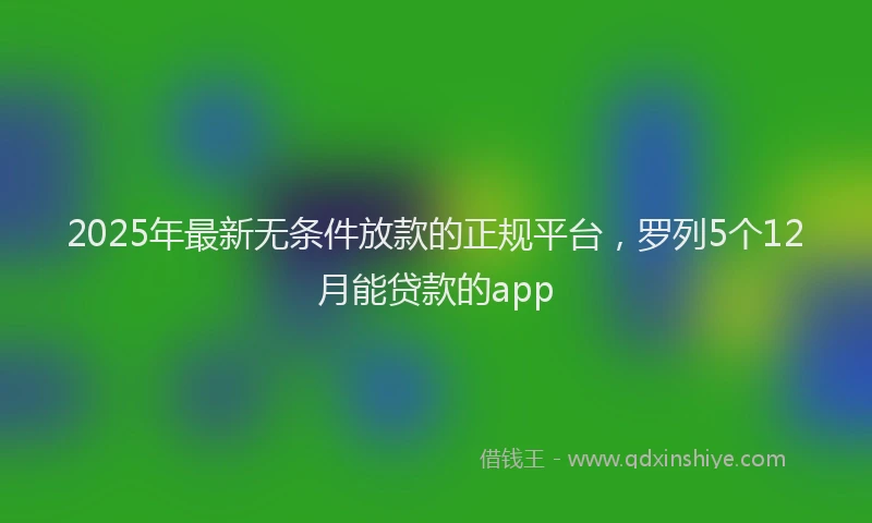 2025年最新无条件放款的正规平台，罗列5个12月能贷款的app
