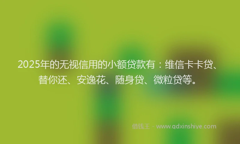 2025年的无视信用的小额贷款有：维信卡卡贷、替你还、安逸花、随身贷、微粒贷等。