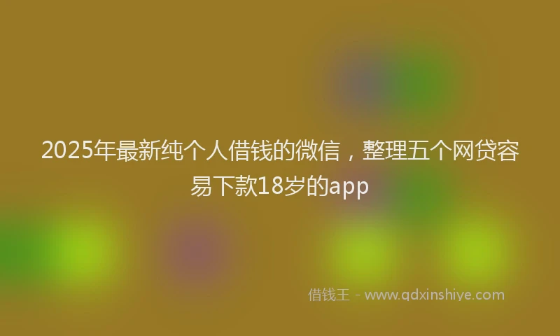 2025年最新纯个人借钱的微信，整理五个网贷容易下款18岁的app