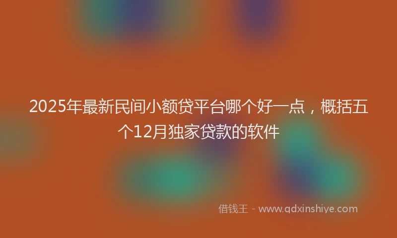 2025年最新民间小额贷平台哪个好一点，概括五个12月独家贷款的软件