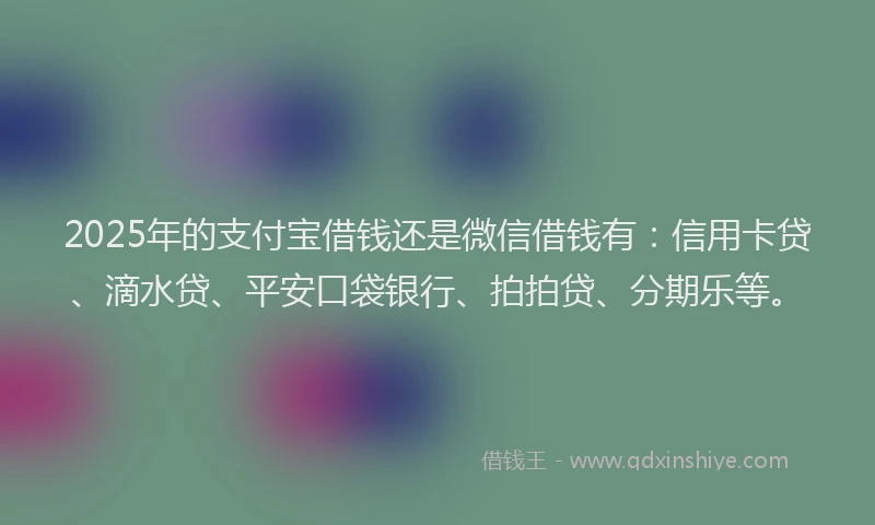 2025年的支付宝借钱还是微信借钱有：信用卡贷、滴水贷、平安口袋银行、拍拍贷、分期乐等。