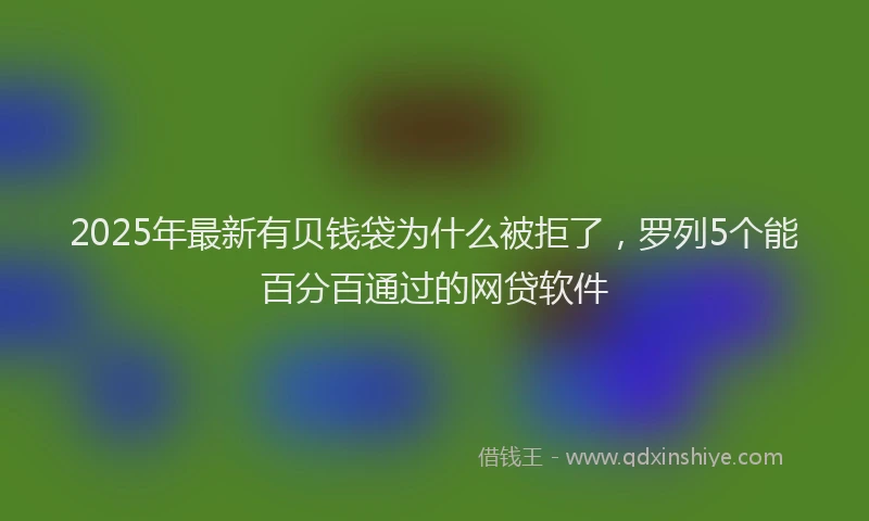 2025年最新有贝钱袋为什么被拒了，罗列5个能百分百通过的网贷软件