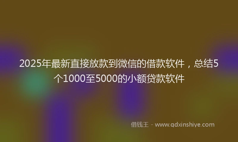 2025年最新直接放款到微信的借款软件，总结5个1000至5000的小额贷款软件