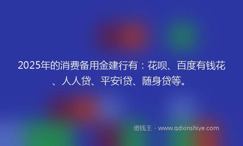 2025年的消费备用金建行有：花呗、百度有钱花、人人贷、平安i贷、随身贷等。