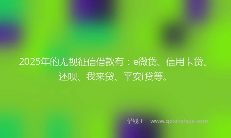 2025年的无视征信借款有：e微贷、信用卡贷、还呗、我来贷、平安i贷等。