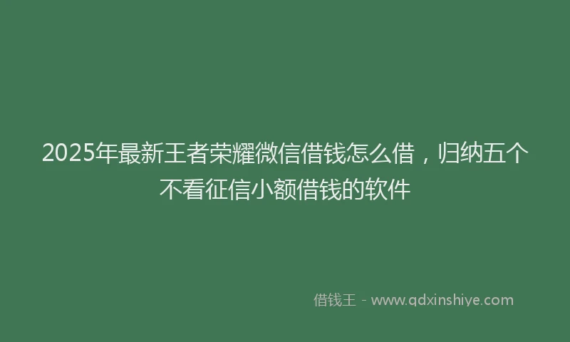 2025年最新王者荣耀微信借钱怎么借，归纳五个不看征信小额借钱的软件