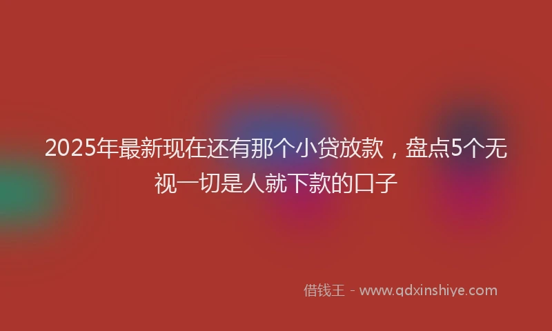 2025年最新现在还有那个小贷放款，盘点5个无视一切是人就下款的口子