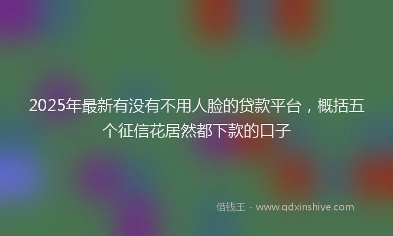 2025年最新有没有不用人脸的贷款平台，概括五个征信花居然都下款的口子
