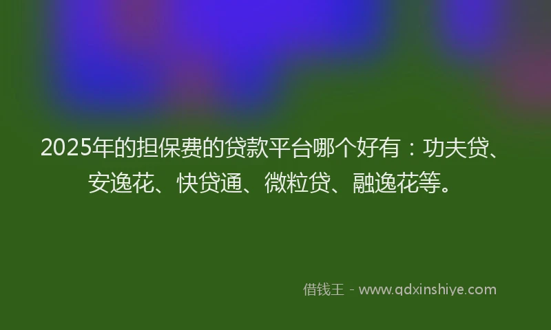 2025年的担保费的贷款平台哪个好有：功夫贷、安逸花、快贷通、微粒贷、融逸花等。