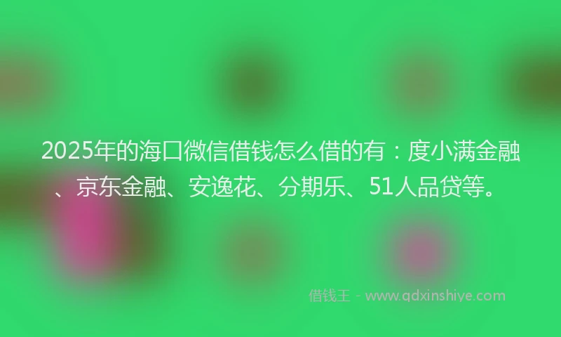 2025年的海口微信借钱怎么借的有：度小满金融、京东金融、安逸花、分期乐、51人品贷等。