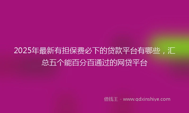 2025年最新有担保费必下的贷款平台有哪些，汇总五个能百分百通过的网贷平台