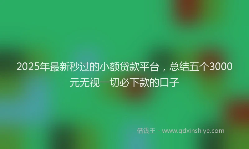 2025年最新秒过的小额贷款平台，总结五个3000元无视一切必下款的口子