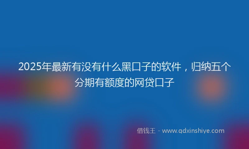 2025年最新有没有什么黑口子的软件，归纳五个分期有额度的网贷口子