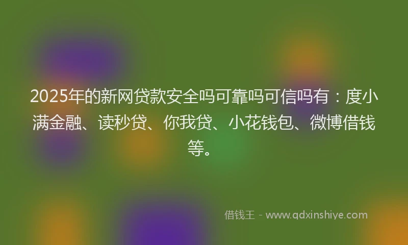 2025年的新网贷款安全吗可靠吗可信吗有：度小满金融、读秒贷、你我贷、小花钱包、微博借钱等。