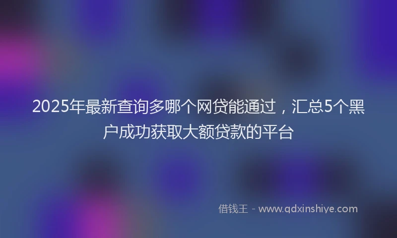 2025年最新查询多哪个网贷能通过，汇总5个黑户成功获取大额贷款的平台