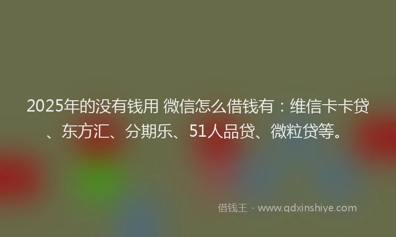 2025年的没有钱用 微信怎么借钱有：维信卡卡贷、东方汇、分期乐、51人品贷、微粒贷等。