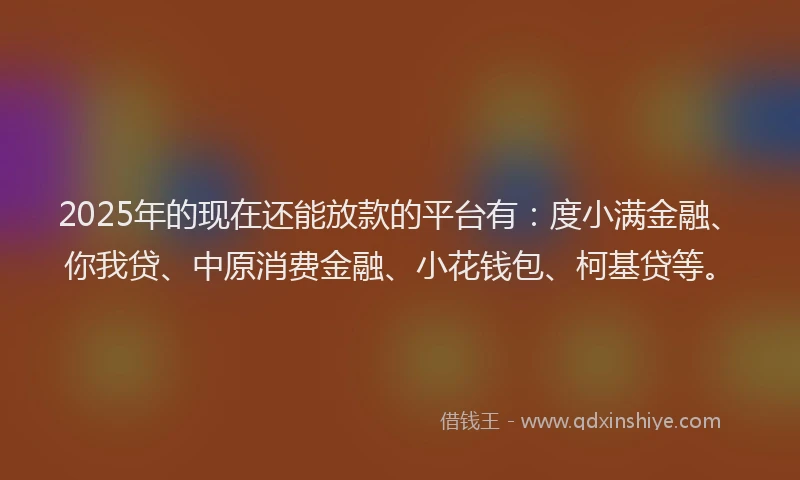 2025年的现在还能放款的平台有：度小满金融、你我贷、中原消费金融、小花钱包、柯基贷等。