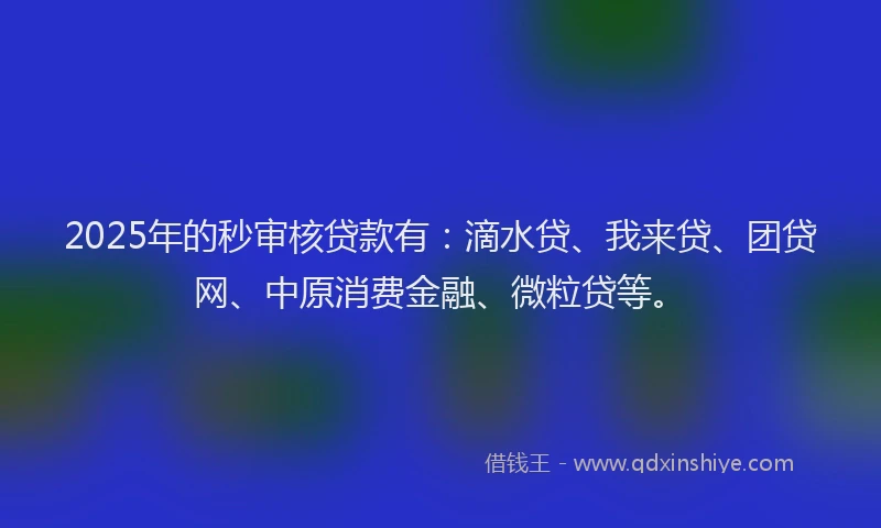 2025年的秒审核贷款有：滴水贷、我来贷、团贷网、中原消费金融、微粒贷等。