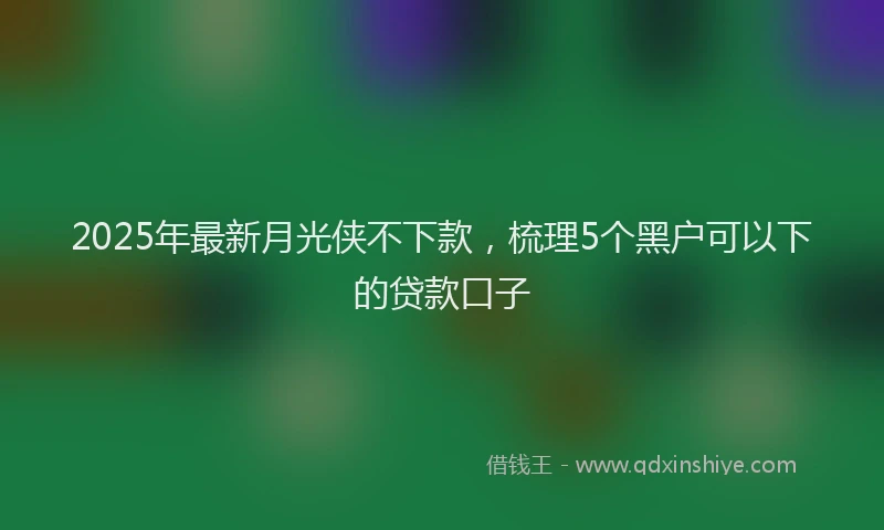 2025年最新月光侠不下款，梳理5个黑户可以下的贷款口子