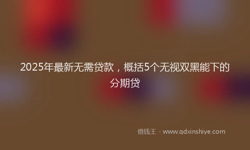 2025年最新无需贷款，概括5个无视双黑能下的分期贷
