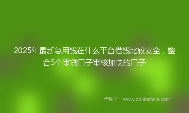 2025年最新急用钱在什么平台借钱比较安全，整合5个审贷口子审核加快的口子