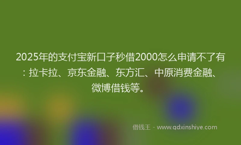 2025年的支付宝新口子秒借2000怎么申请不了有：拉卡拉、京东金融、东方汇、中原消费金融、微博借钱等。