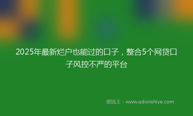 2025年最新烂户也能过的口子，整合5个网贷口子风控不严的平台