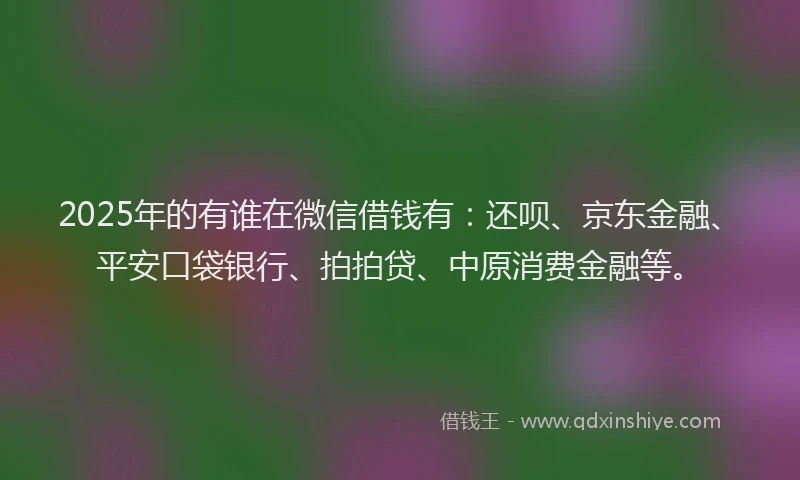 2025年的有谁在微信借钱有：还呗、京东金融、平安口袋银行、拍拍贷、中原消费金融等。