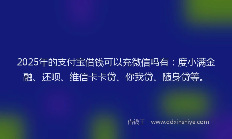 2025年的支付宝借钱可以充微信吗有：度小满金融、还呗、维信卡卡贷、你我贷、随身贷等。
